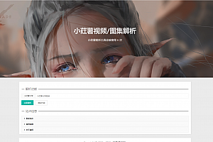 全新小红书图集和视频解析去水印网站源码