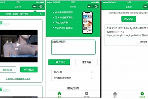 2023最新去水印小程序源码分享,无需后台,对接接口,支持全网去水印