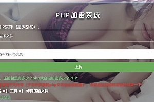 最新php项目加密源码
