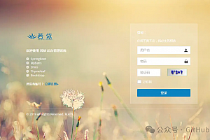 RuoYi管理系统