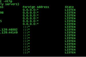 【百恋成仙H5】2025最新整理单机一键即玩镜像端+Linux手工服务端+教程【站长亲测】