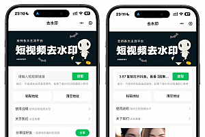 2025最新去水印小程序,免服务器,带流量主和安装教程