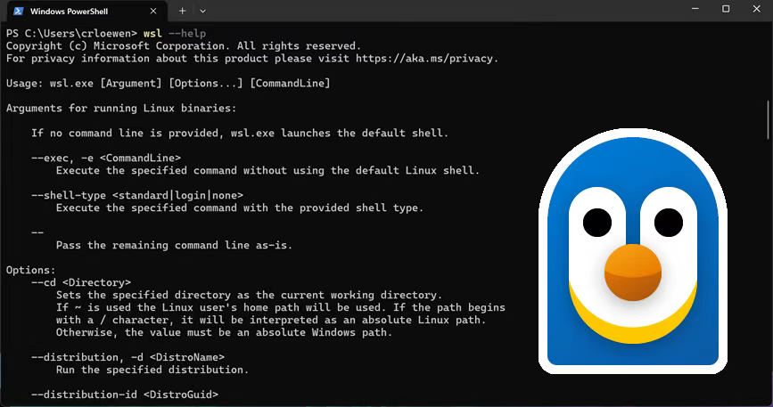微软太硬了,宣布 GitHub Copilot 和 WSL 全面开源!-4 微软太硬了,宣布 GitHub Copilot 和 WSL 全面开源!