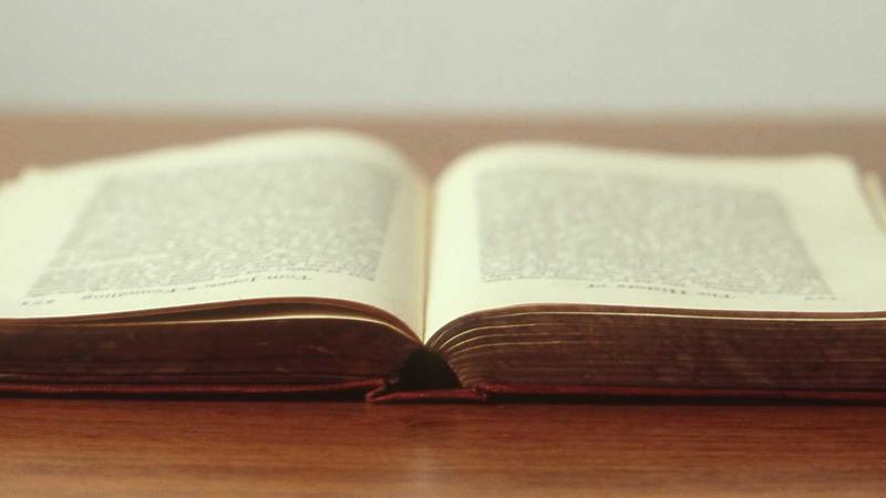 -1 AI 多模态能力再突破:开源视觉语言模型支持屏幕理解,可直接操作软件