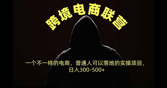 20702期)跨境电商联营,一个不一样的电商,普通人可操作日入300-500+-1 20702期)跨境电商联营,一个不一样的电商,普通人可操作日入300-500+